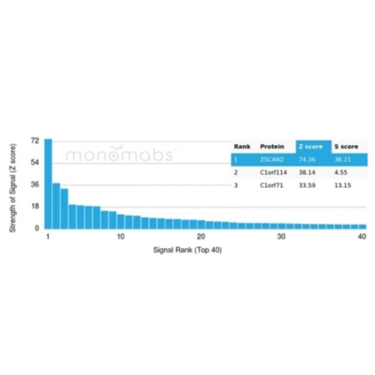 Protein Array - Anti-ZSCAN2 Antibody [PCRP-ZSCAN2-1F8] - BSA and Azide free (A278348) - Antibodies.com