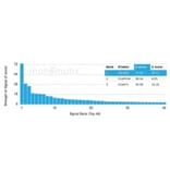 Protein Array - Anti-ZSCAN2 Antibody [PCRP-ZSCAN2-1F8] - BSA and Azide free (A278348) - Antibodies.com