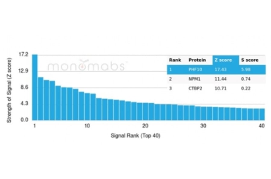 Protein Array - Anti-PHF10 Antibody [PCRP-PHF10-2A10] - BSA and Azide free (A278350) - Antibodies.com