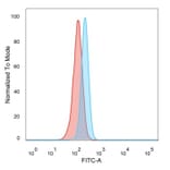 Flow Cytometry - Anti-RBMS2 Antibody [PCRP-RBMS2-1B6] - BSA and Azide free (A278359) - Antibodies.com