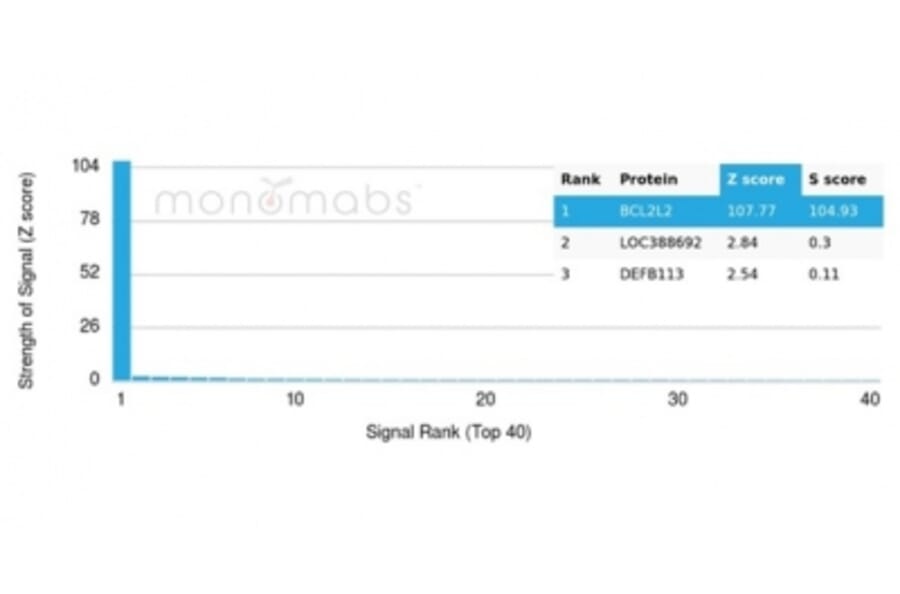 Protein Array - Anti-Bcl2L2 Antibody [PCRP-BCL2L2-1A4] - BSA and Azide free (A278360) - Antibodies.com