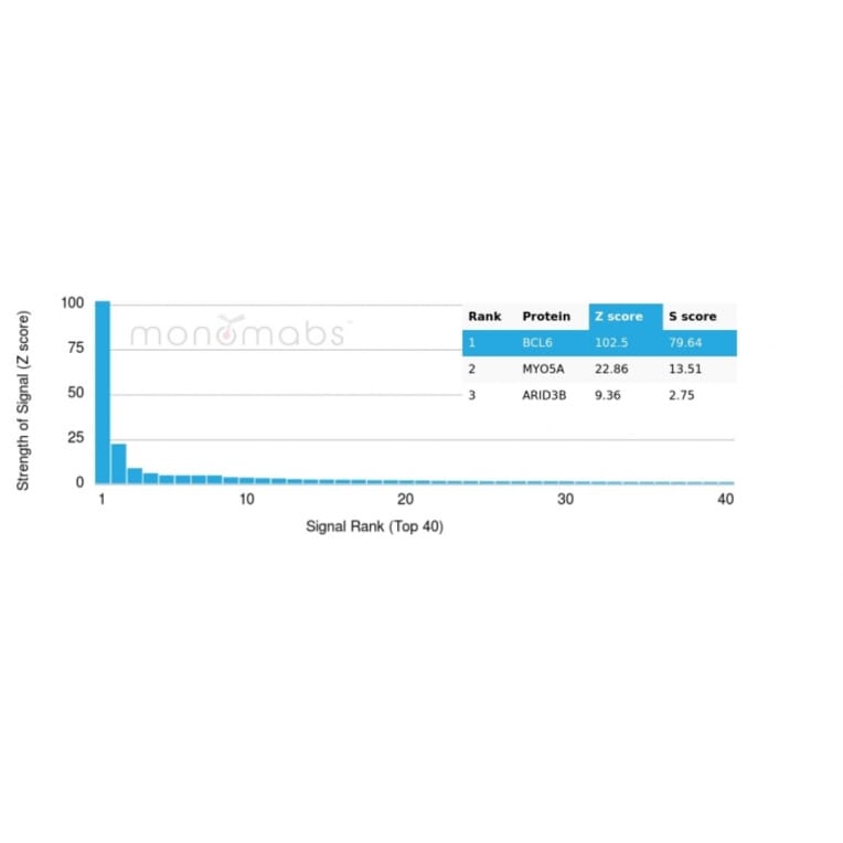 Protein Array - Anti-Bcl-6 Antibody [PCRP-BCL6-1D3] - BSA and Azide free (A278363) - Antibodies.com