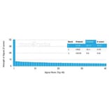 Protein Array - Anti-MCP2 Antibody [CCL8/3312] - BSA and Azide free (A278374) - Antibodies.com