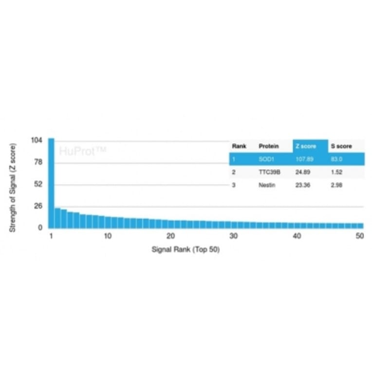 Protein Array - Anti-Superoxide Dismutase 1 Antibody [SOD1/3923] - BSA and Azide free (A278383) - Antibodies.com