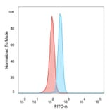 Flow Cytometry - Anti-SOX4 Antibody [PCRP-SOX4-1D6] - BSA and Azide free (A278384) - Antibodies.com