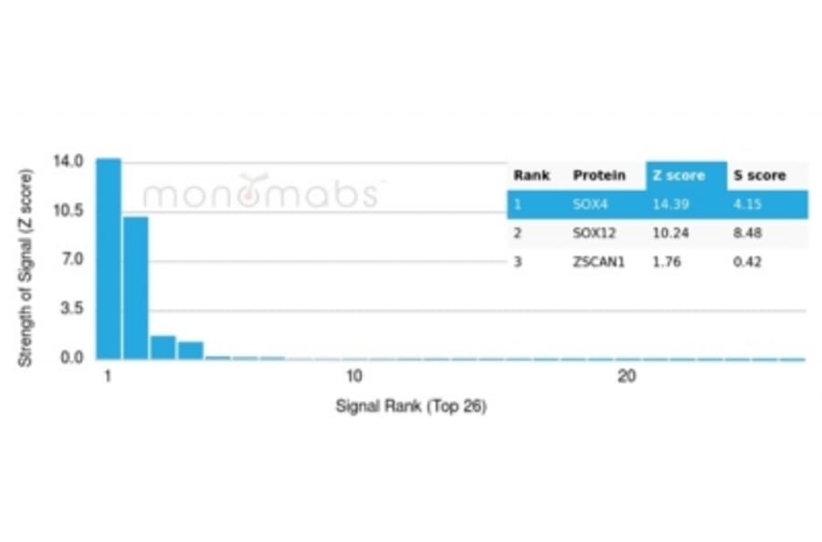 Protein Array - Anti-SOX4 Antibody [PCRP-SOX4-1D6] - BSA and Azide free (A278384) - Antibodies.com