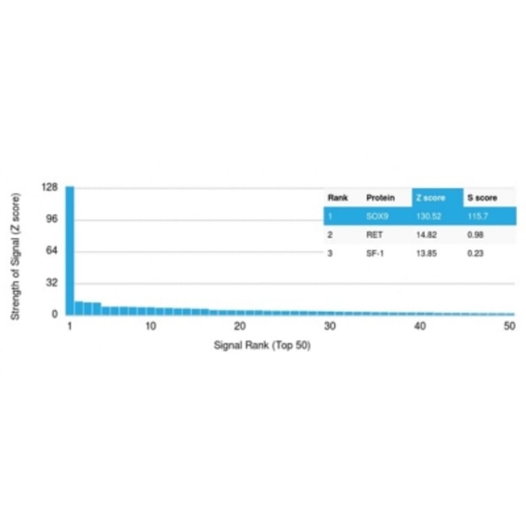 Protein Array - Anti-SOX9 Antibody [SOX9/2387] - BSA and Azide free (A278388) - Antibodies.com