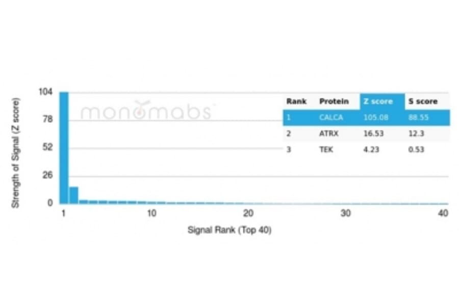 Protein Array - Anti-Calcitonin Antibody [CALCA/3310] - BSA and Azide free (A278417) - Antibodies.com