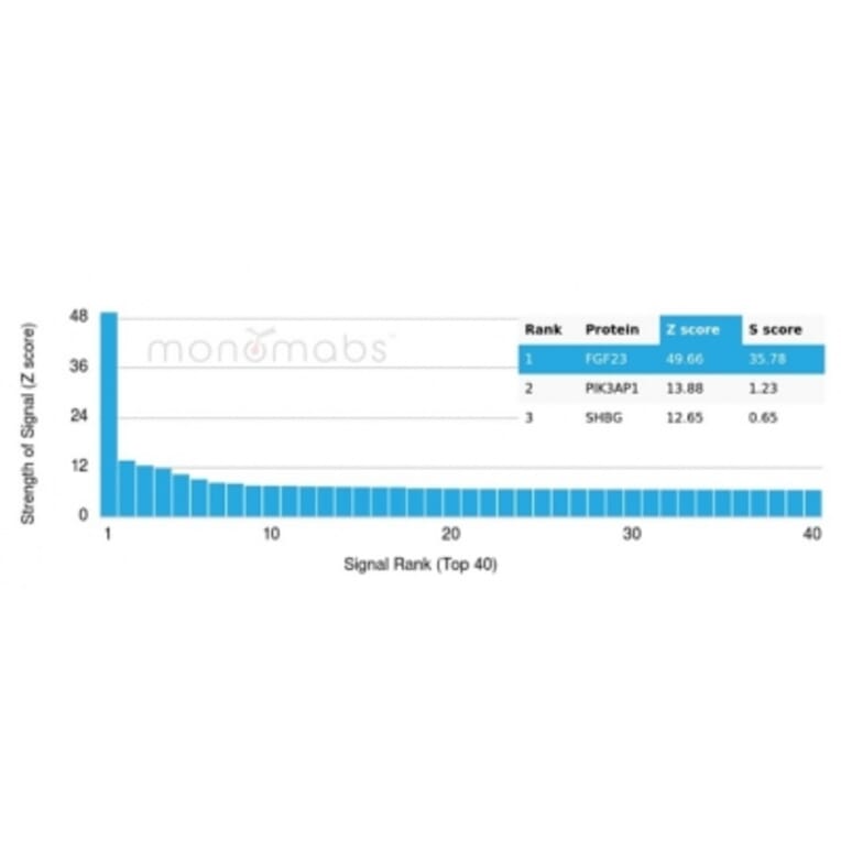 Protein Array - Anti-FGF23 Antibody [FGF23/4174] - BSA and Azide free (A278419) - Antibodies.com