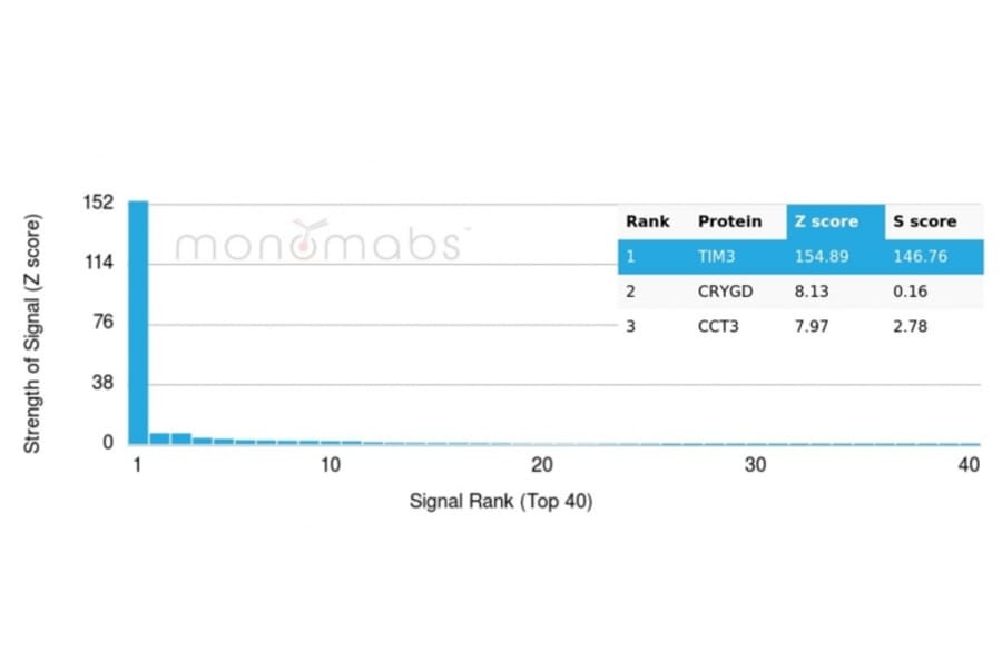 Protein Array - Anti-TIM3 Antibody [TIM3/4027] - BSA and Azide free (A278422) - Antibodies.com