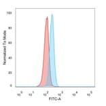 Flow Cytometry - Anti-CBFB Antibody [PCRP-CBFB-1E6] - BSA and Azide free (A278425) - Antibodies.com