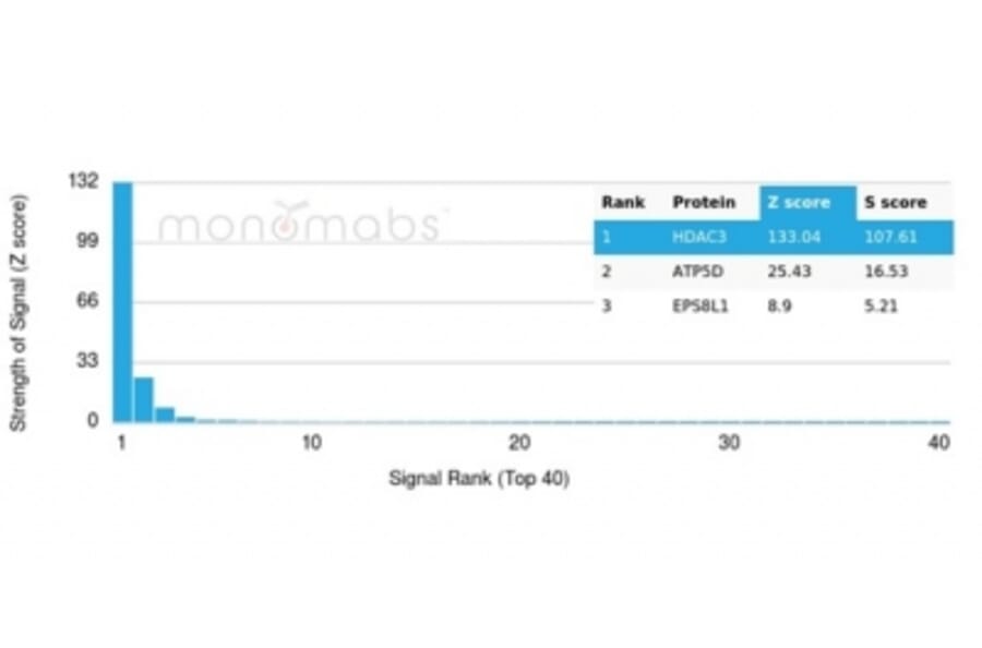 Protein Array - Anti-HDAC3 Antibody [PCRP-HDAC3-2D4] - BSA and Azide free (A278426) - Antibodies.com