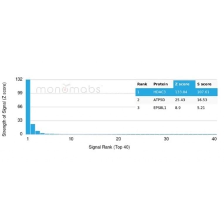 Protein Array - Anti-HDAC3 Antibody [PCRP-HDAC3-2D4] - BSA and Azide free (A278426) - Antibodies.com