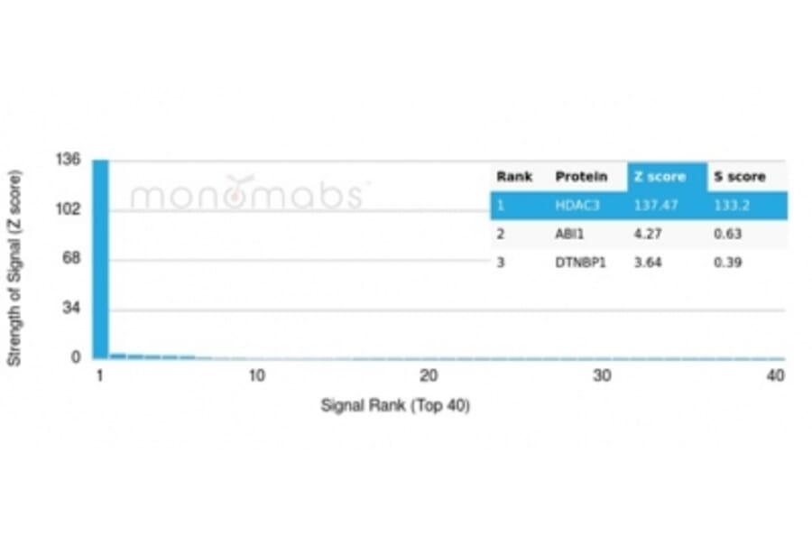 Protein Array - Anti-HDAC3 Antibody [PCRP-HDAC3-3C9] - BSA and Azide free (A278427) - Antibodies.com
