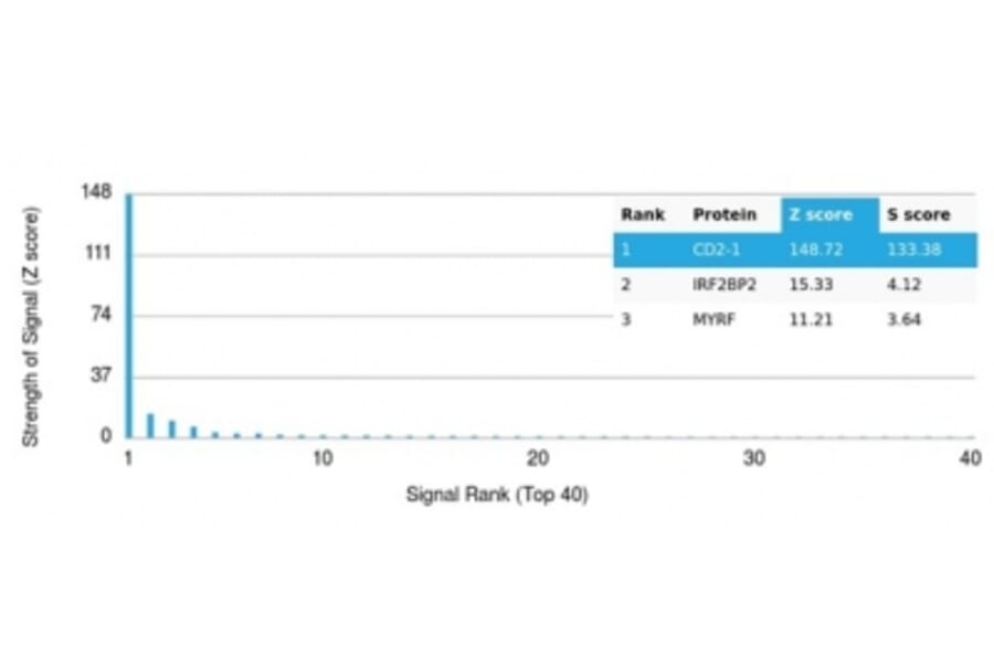 Protein Array - Anti-CD2 Antibody [LFA2/7102] - BSA and Azide free (A278428) - Antibodies.com