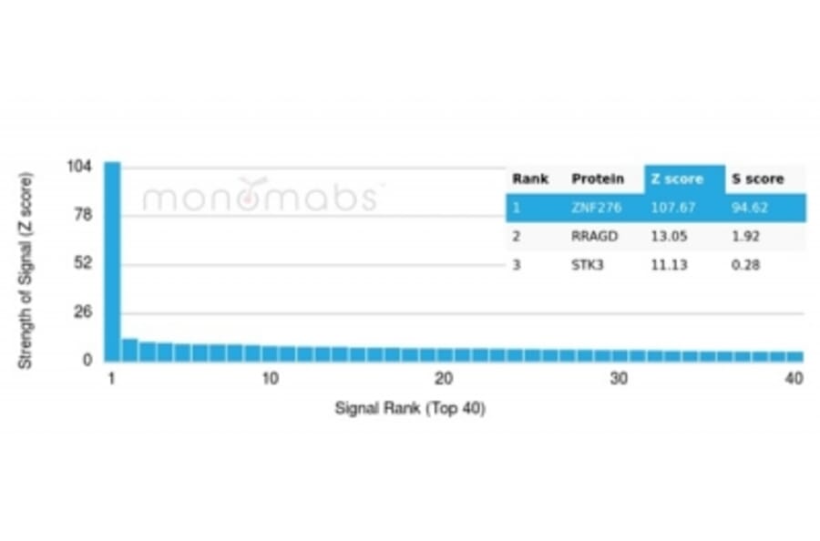 Protein Array - Anti-ZNF276 Antibody [PCRP-ZNF276-1A5] - BSA and Azide free (A278433) - Antibodies.com