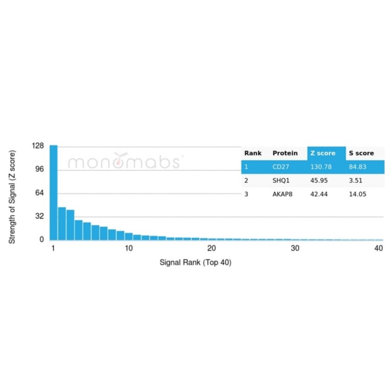 Protein Array - Anti-CD27 Antibody [LPFS2/4178] - BSA and Azide free (A278436) - Antibodies.com