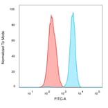 Flow Cytometry - Anti-QKI Antibody [PCRP-QKI-2F10] - BSA and Azide free (A278440) - Antibodies.com