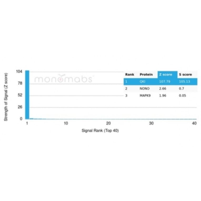 Protein Array - Anti-QKI Antibody [PCRP-QKI-2F10] - BSA and Azide free (A278440) - Antibodies.com