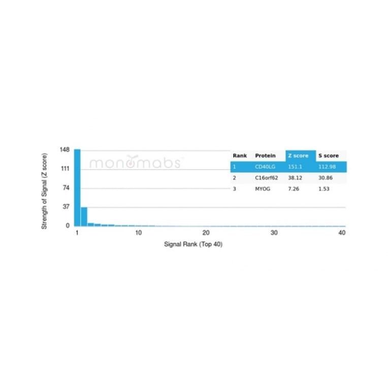 Protein Array - Anti-CD40L Antibody [CD40LG/4675] - BSA and Azide free (A278444) - Antibodies.com