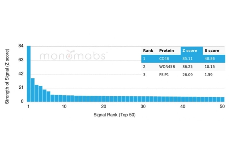 Protein Array - Anti-CD48 Antibody [CD48/4785] - BSA and Azide free (A278447) - Antibodies.com