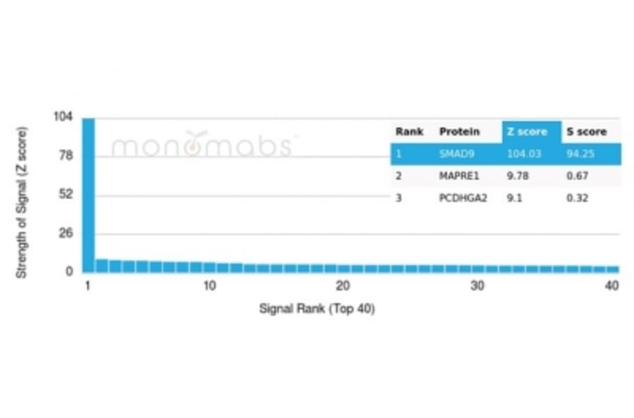 Protein Array - Anti-SMAD9 Antibody [PCRP-SMAD9-2F4] - BSA and Azide free (A278460) - Antibodies.com