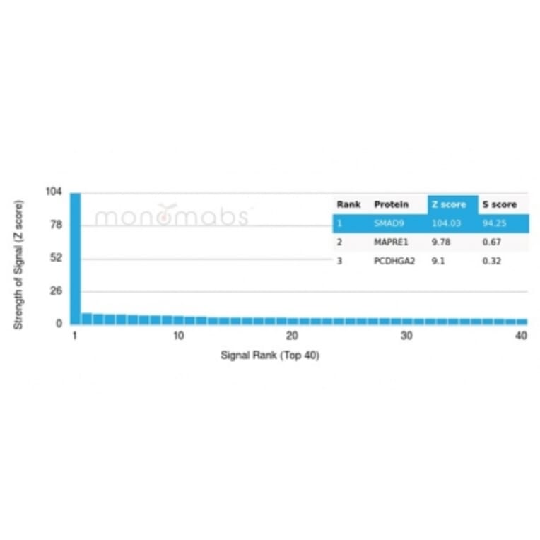 Protein Array - Anti-SMAD9 Antibody [PCRP-SMAD9-2F4] - BSA and Azide free (A278460) - Antibodies.com