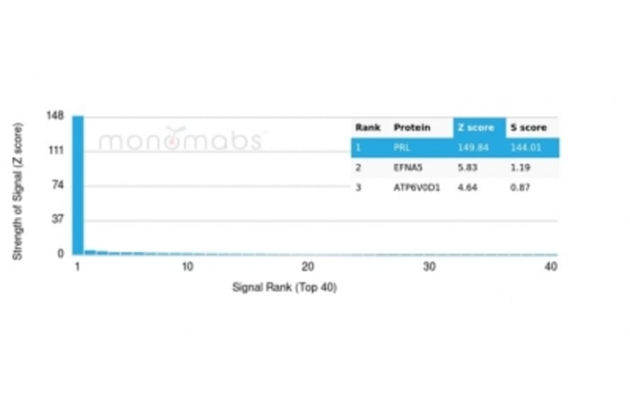 Protein Array - Anti-Prolactin Antibody [rPRL/4907] - BSA and Azide free (A278500) - Antibodies.com