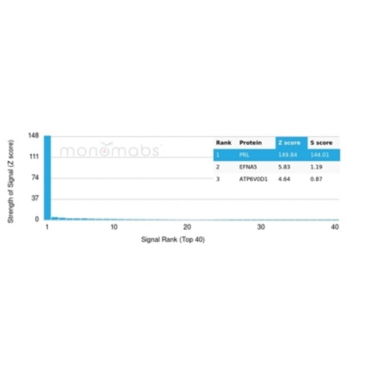 Protein Array - Anti-Prolactin Antibody [rPRL/4907] - BSA and Azide free (A278500) - Antibodies.com