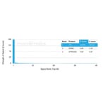Protein Array - Anti-Prolactin Antibody [rPRL/4907] - BSA and Azide free (A278500) - Antibodies.com