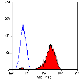 Flow Cytometry - Anti-CD11a Antibody [38] - BSA and Azide free (A278739) - Antibodies.com