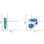 Flow Cytometry - Anti-CD55 Antibody [67] (PE) (A278753) - Antibodies.com