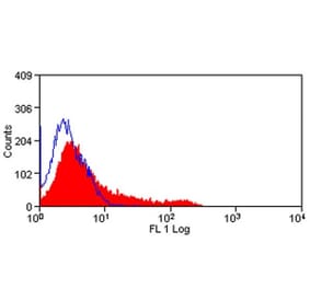 Immunofluorescence  - Anti-CD8 beta Antibody [341] (FITC) (A278783) - Antibodies.com