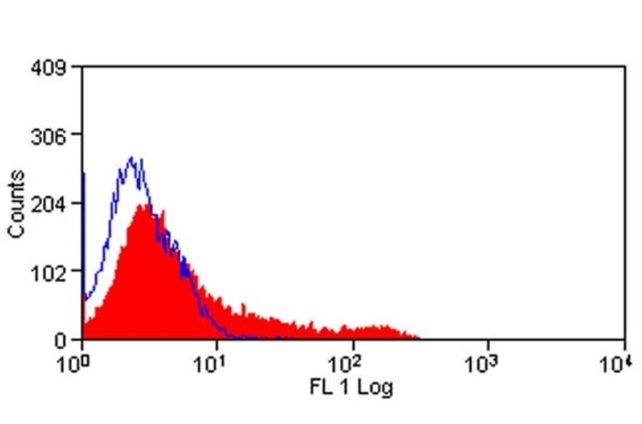Immunofluorescence  - Anti-CD8 beta Antibody [341] (FITC) (A278783) - Antibodies.com