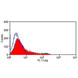 Immunofluorescence  - Anti-CD8 beta Antibody [341] (FITC) (A278783) - Antibodies.com