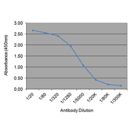 ELISA - Anti-SHBG Antibody [31.7E2] (A278808) - Antibodies.com