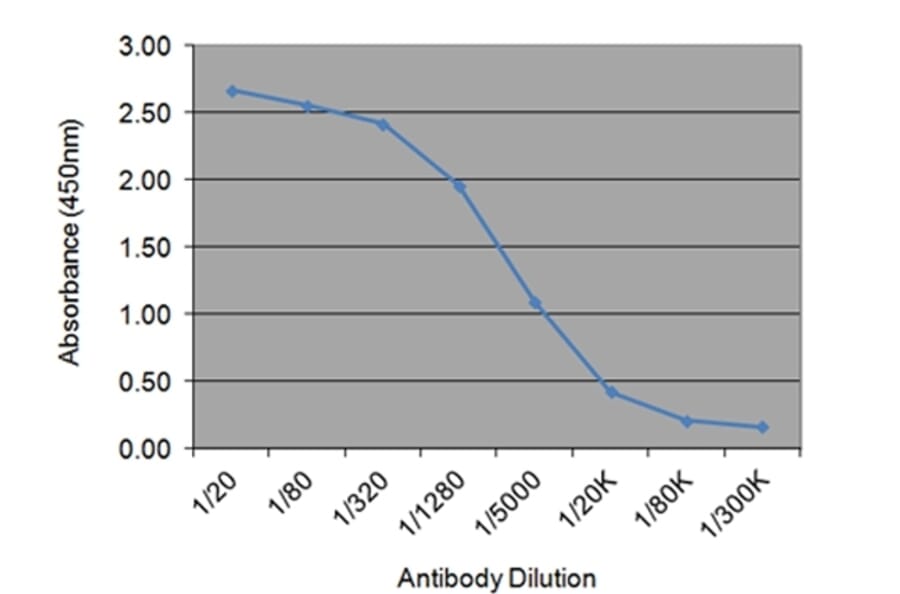 ELISA - Anti-SHBG Antibody [31.7E2] (A278808) - Antibodies.com