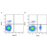 Flow Cytometry - Anti-CD4 Antibody [2-35] (A278830) - Antibodies.com