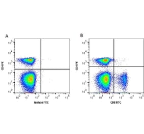 Flow Cytometry - Anti-CD8 alpha Antibody [11-39] (FITC) (A278831) - Antibodies.com