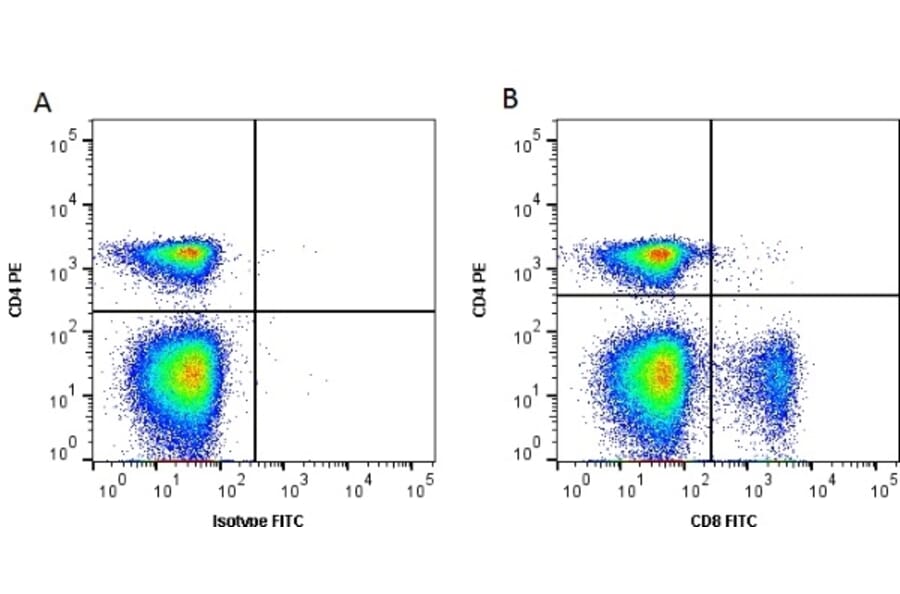 Flow Cytometry - Anti-CD8 alpha Antibody [11-39] (FITC) (A278831) - Antibodies.com
