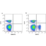 Flow Cytometry - Anti-CD8 alpha Antibody [11-39] (FITC) (A278831) - Antibodies.com
