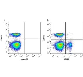 Flow Cytometry - Anti-CD8 alpha Antibody [11-39] (PE) (A278832) - Antibodies.com