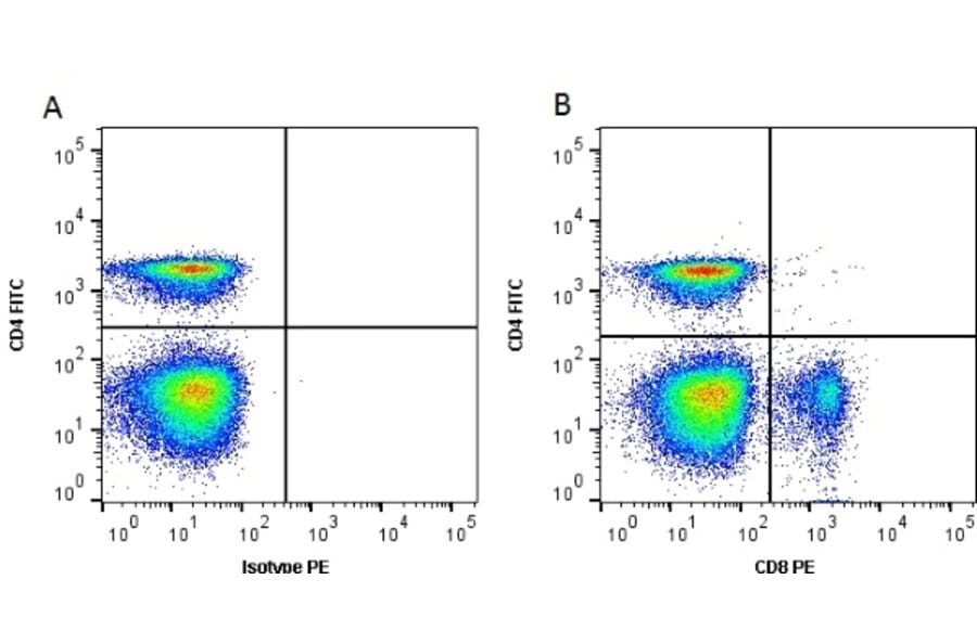 Flow Cytometry - Anti-CD8 alpha Antibody [11-39] (PE) (A278832) - Antibodies.com