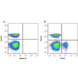 Flow Cytometry - Anti-CD8 alpha Antibody [11-39] (PE) (A278832) - Antibodies.com