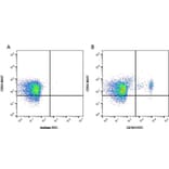 Flow Cytometry - Anti-CD161 Antibody [10/78] (FITC) (A278835) - Antibodies.com