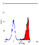 Flow Cytometry - Anti-C5a-R Antibody [10/92] (A278841) - Antibodies.com