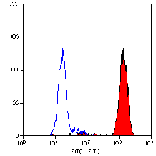 Flow Cytometry - Anti-Ly-6B.2 Alloantigen Antibody [7/4] (A278854) - Antibodies.com