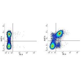 Flow Cytometry - Anti-CD40 Antibody [3/23] (PE) (A278860) - Antibodies.com