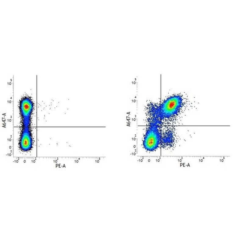 Flow Cytometry - Anti-CD40 Antibody [3/23] (PE) (A278860) - Antibodies.com