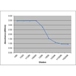 ELISA - Anti-Placental Growth Hormone Antibody [78.8E8] (A278880) - Antibodies.com